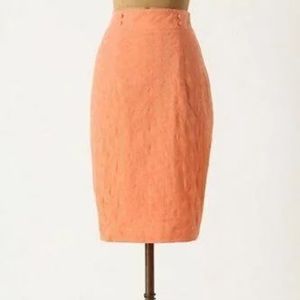 Anthropologie The Addison Story Cotton Discreet Designs Skirt Size 2 NWT